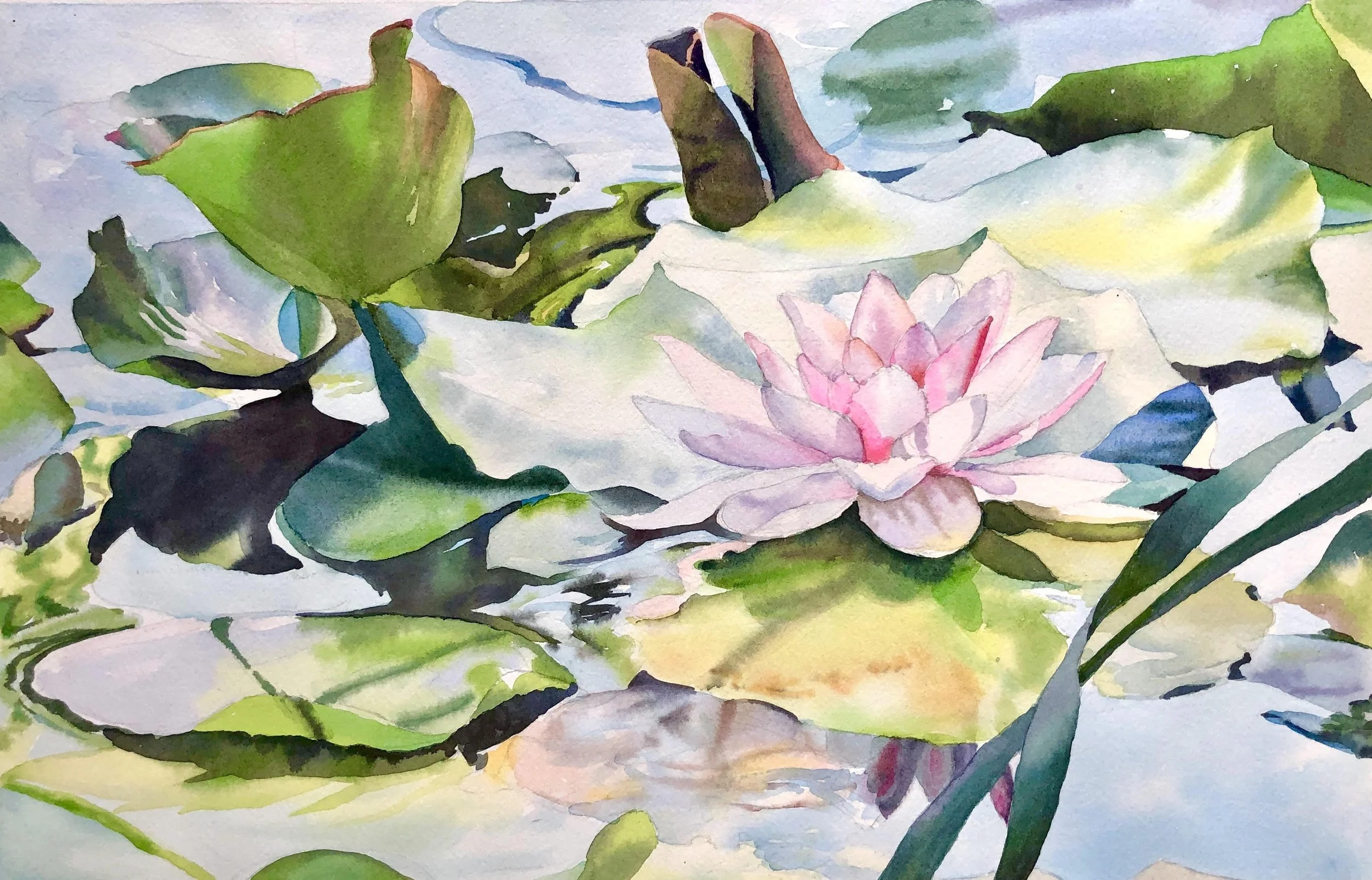 <p><strong>DIANE NORRIS</strong>watercolor painting<a href="/diane-norris-lyr2024">More →</a></p>