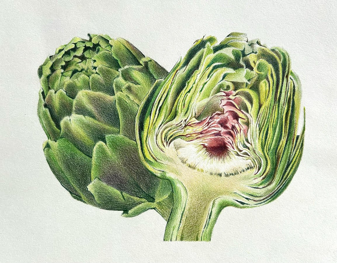 <p><strong>KENDRA FERREIRA</strong>colored pencil drawing<a href="/kendra-ferreira-fresh2024">More →</a></p>