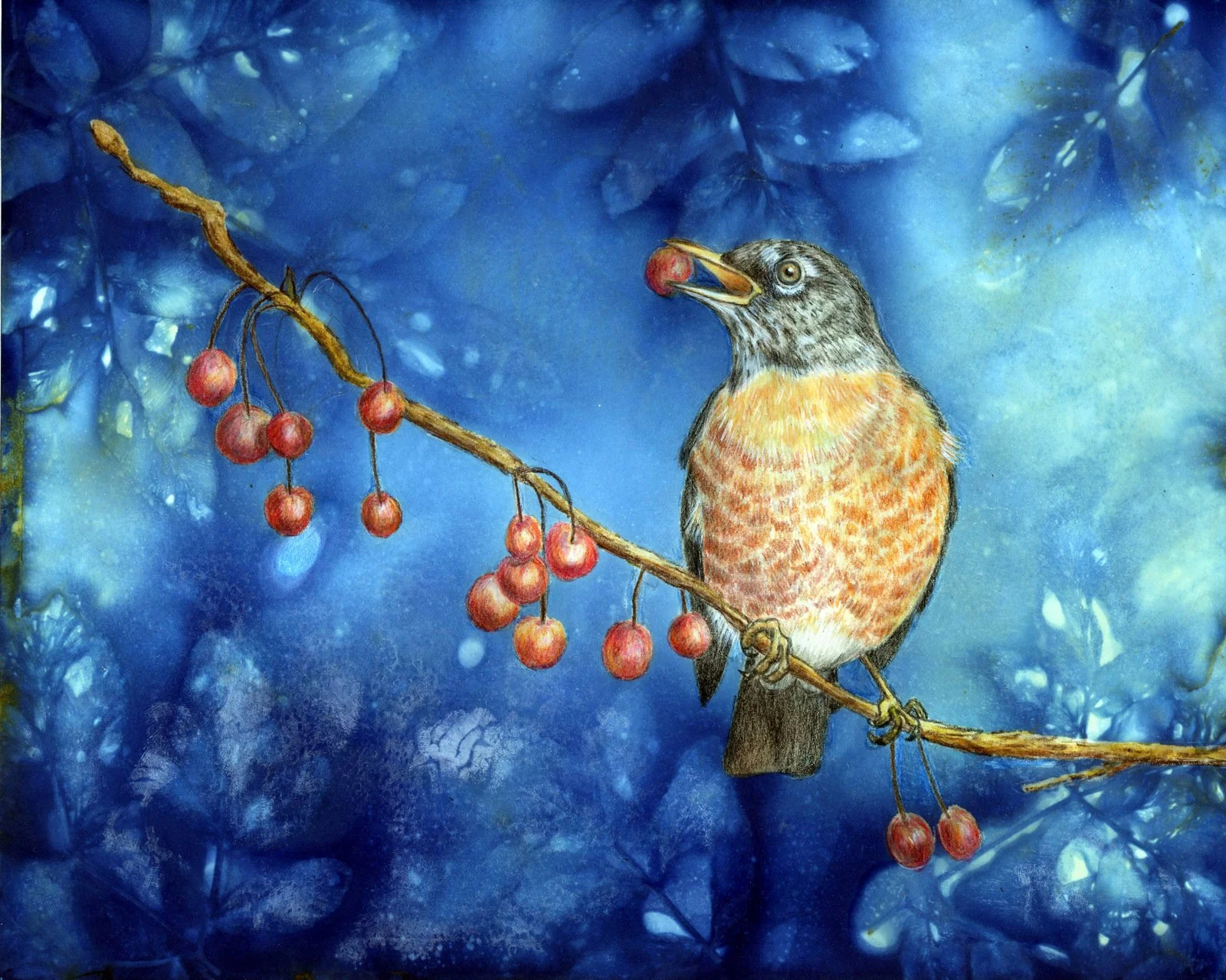 "Robin", ecoprint, color pencils, 12" x 15", $395 (framed)