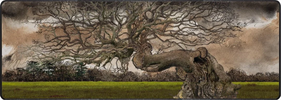 &lt;p&gt;&lt;strong&gt;LAWRENCE ELBROCH&lt;/strong&gt;archival pigment print&lt;a href="/larry-elbroch-rg-2025"&gt;More →&lt;/a&gt;&lt;/p&gt; 