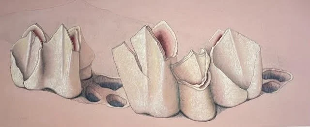 &lt;p&gt;&lt;strong&gt;LOUISE GOLDENBERG&lt;/strong&gt;acrylic, charcoal, pastel,string&lt;a href="/louise-goldenberg-rg-2025"&gt;More →&lt;/a&gt;&lt;/p&gt;
