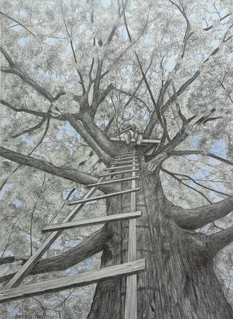 &lt;p&gt;&lt;strong&gt;BARBARA MORSE&lt;/strong&gt;graphite drawing&lt;a href="/barbara-morse-rg-2025"&gt;More →&lt;/a&gt;&lt;/p&gt;