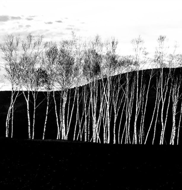 "Lover's Lane", photo transfer, 2" x 2", $175 (framed)