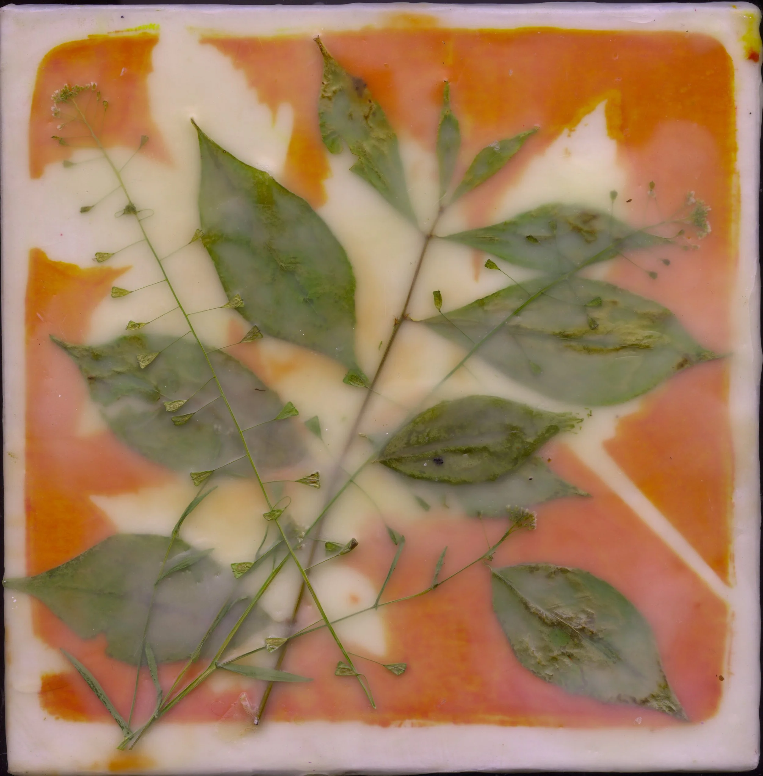 &lt;p&gt;&lt;strong&gt;JEANNE BOROFSKY&lt;/strong&gt;encaustic painting&lt;a href="/jeanne-borofsky-ill2025"&gt;More →&lt;/a&gt;&lt;/p&gt;