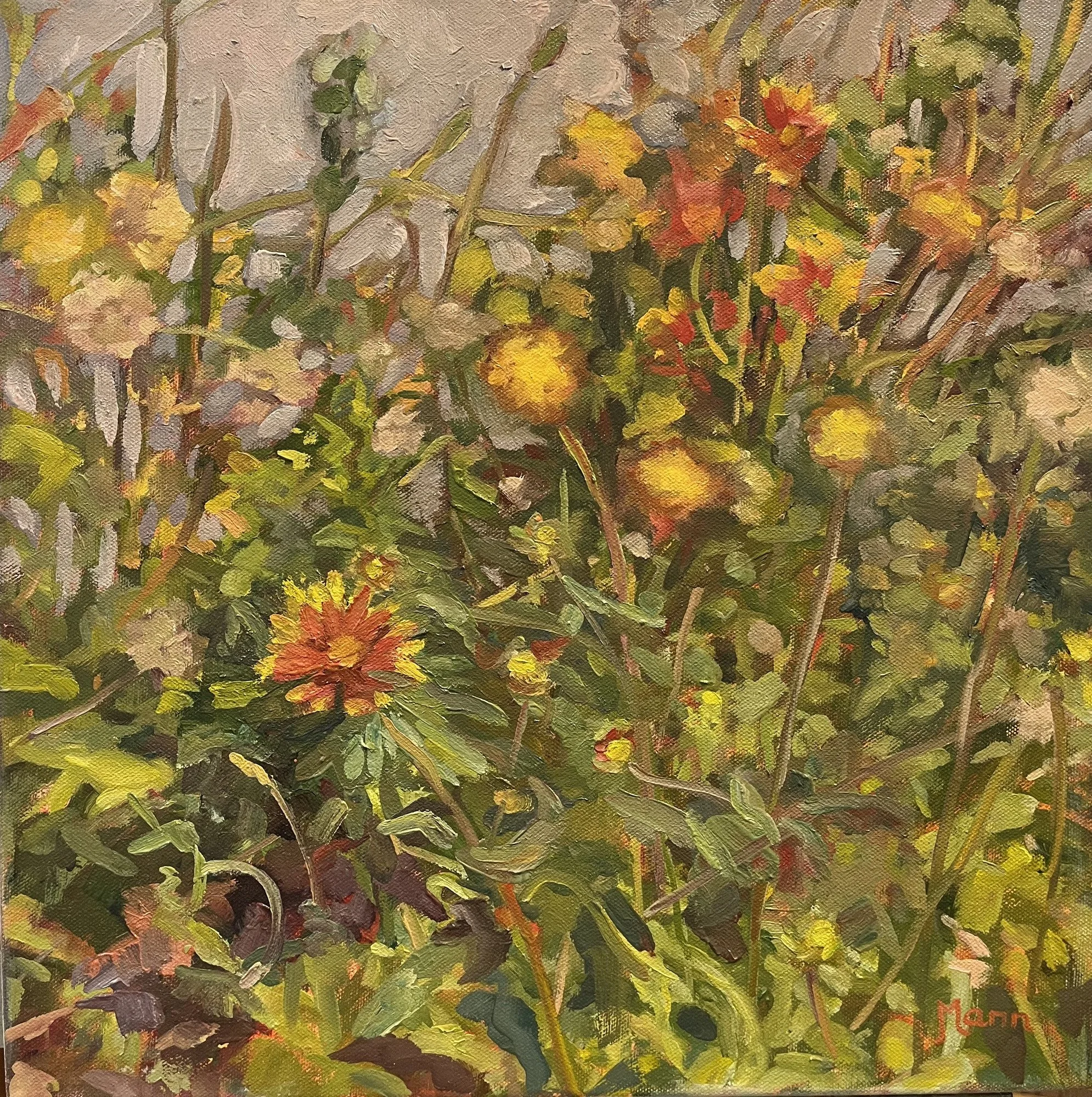 &lt;p&gt;&lt;strong&gt;HEIDI MANN&lt;/strong&gt;oil painting&lt;a href="/heidi-mann-ill2025"&gt;More →&lt;/a&gt;&lt;/p&gt;