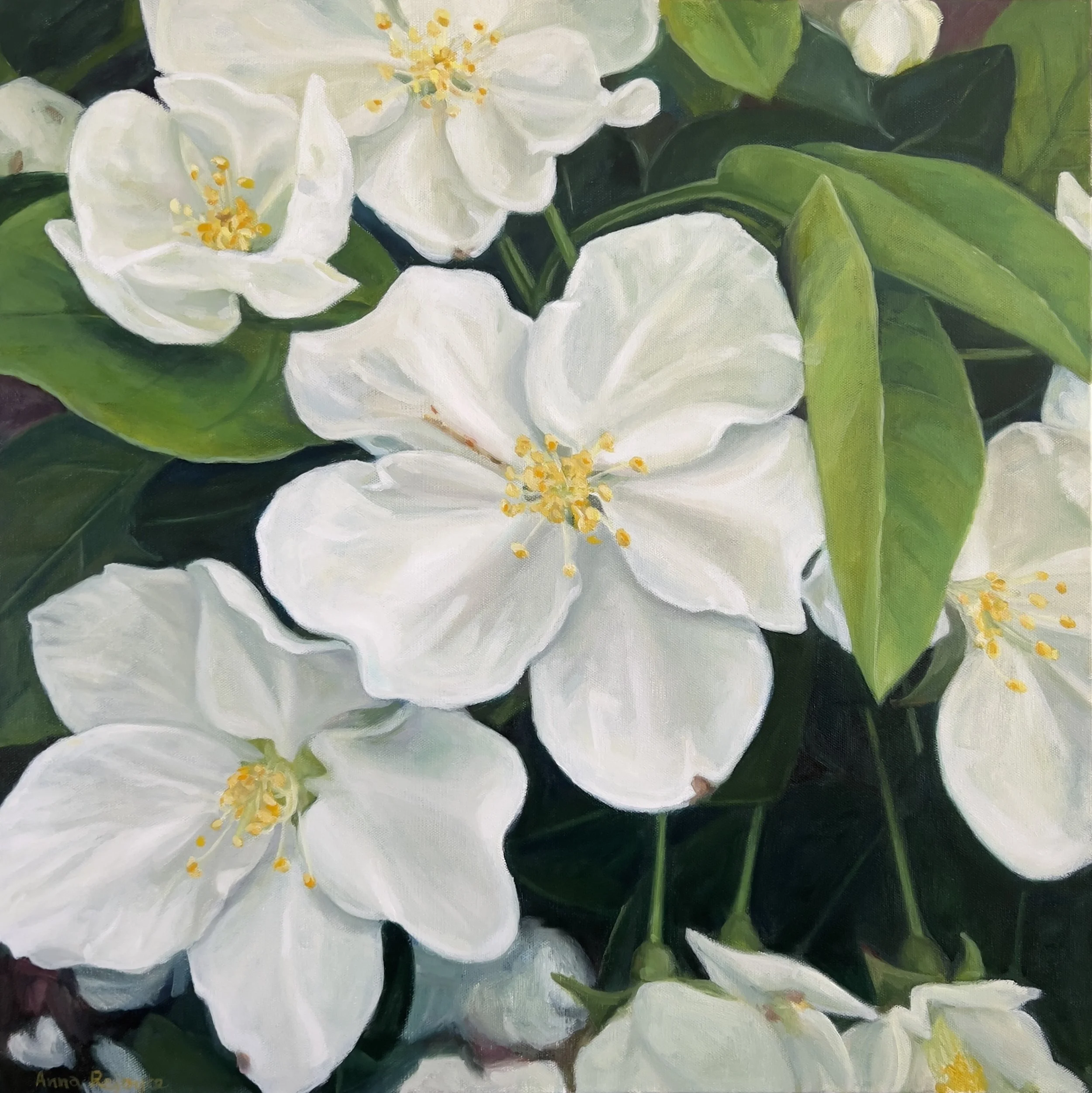 &lt;p&gt;&lt;strong&gt;ANNA REJOYCE&lt;/strong&gt;oil painting&lt;a href="/anna-rejoyce-ill2025"&gt;More →&lt;/a&gt;&lt;/p&gt;