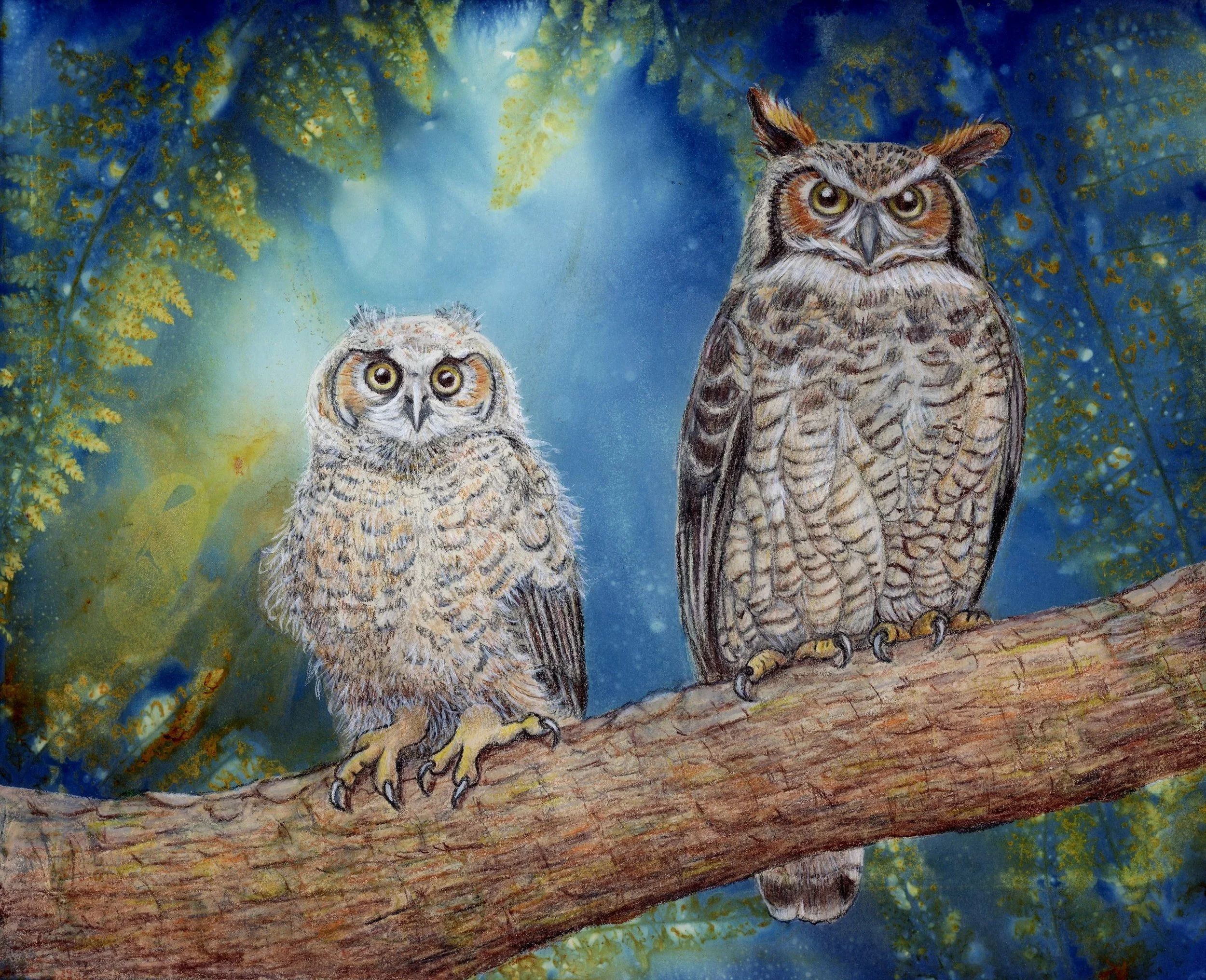 &lt;p&gt;&lt;strong&gt;SUZETTE DURSO&lt;/strong&gt;eco printing and color pencil&lt;a href="/suzette-durso-ill2025"&gt;More →&lt;/a&gt;&lt;/p&gt;