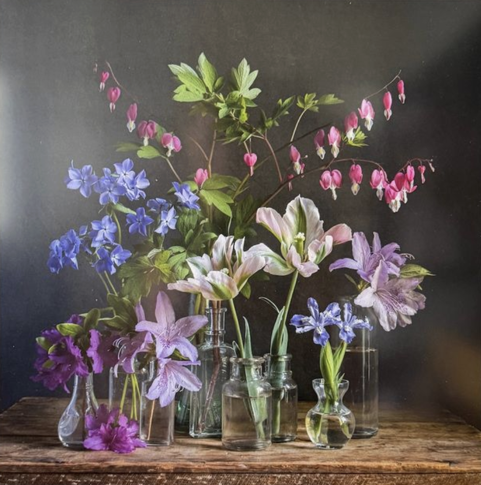 <p><strong>ELIZABETH PYLE</strong>photography<a href="/elizabeth-pyle-insp-2026">More →</a></p>