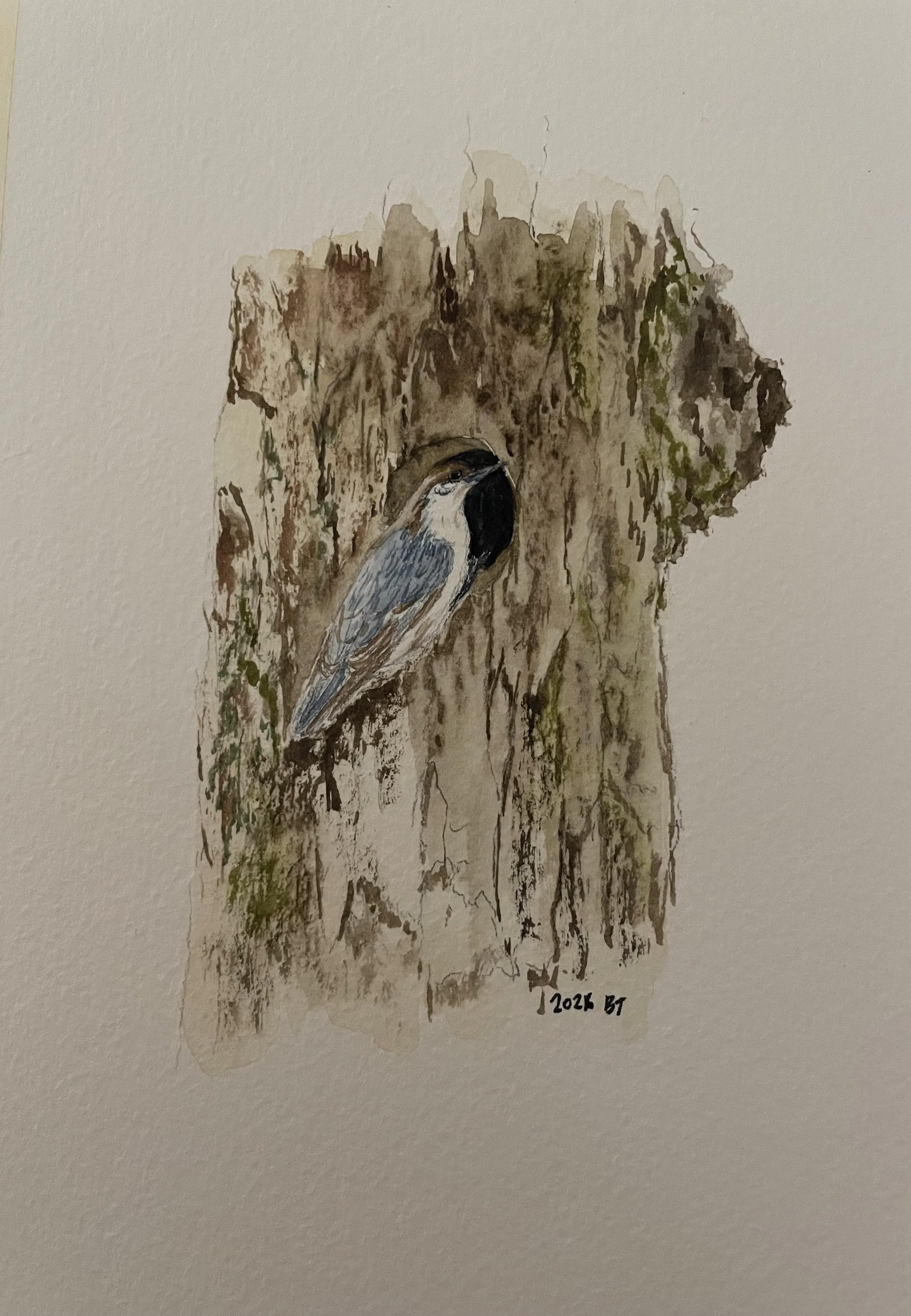 <p><strong>BRONWYN TEIXEIRA</strong>watercolor<a href="/bronwyn-texieira-insp-2026">More →</a></p>