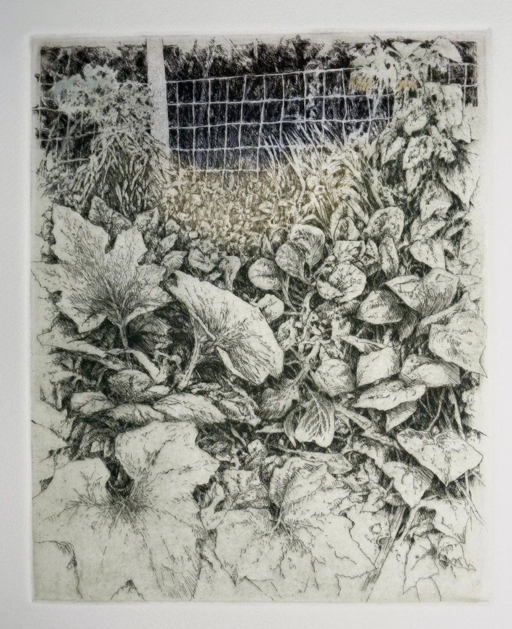 <p><strong>ANN ELDRIDGE</strong>colored pencil, etching<a href="/ann-eldridge-insp-2026">More →</a></p>
