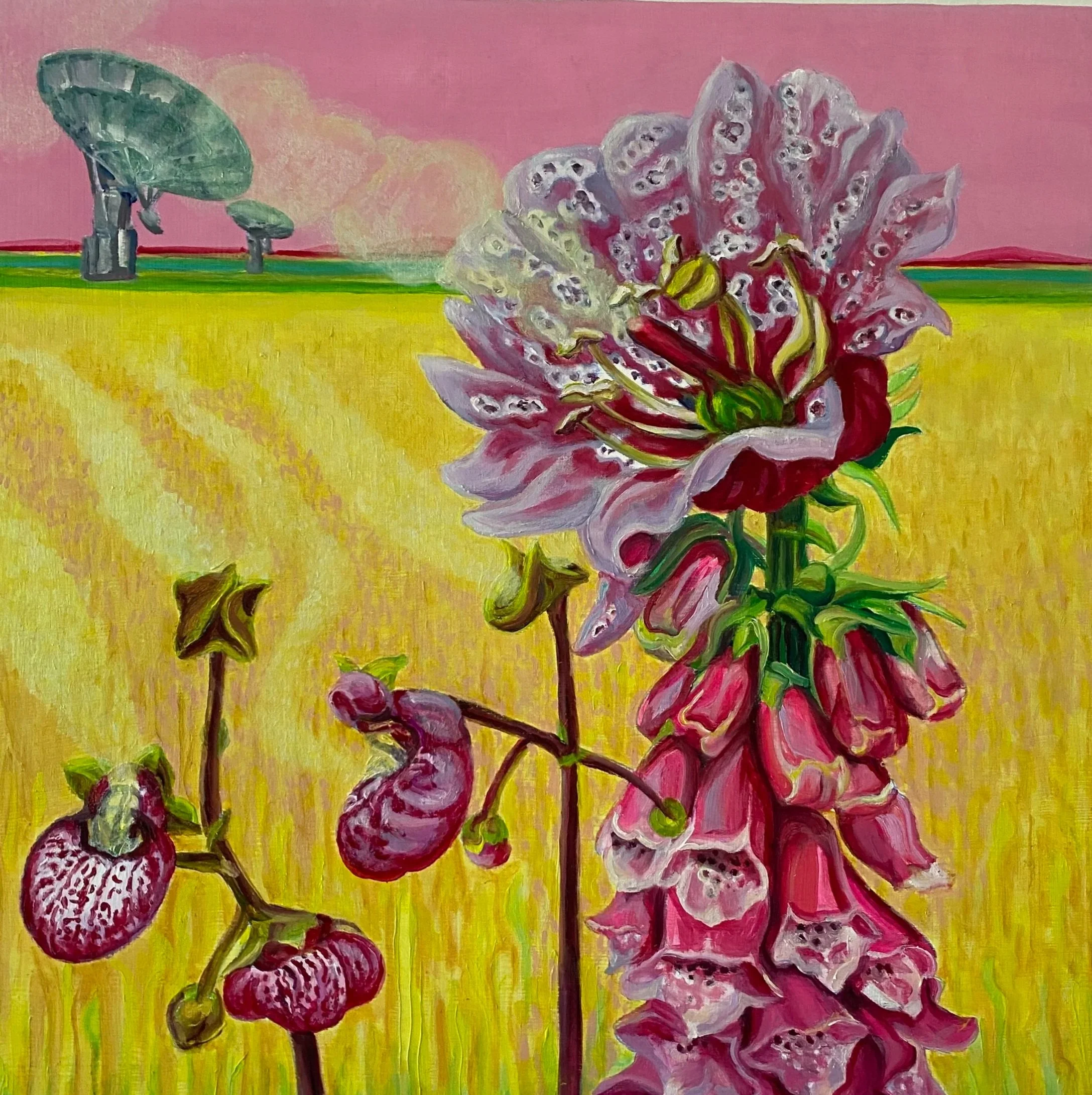 <p><strong>SUE HAMMERLAND</strong>oil &amp; acrylic painting<a href="/sue-hammerland-jour-2026">More →</a></p>