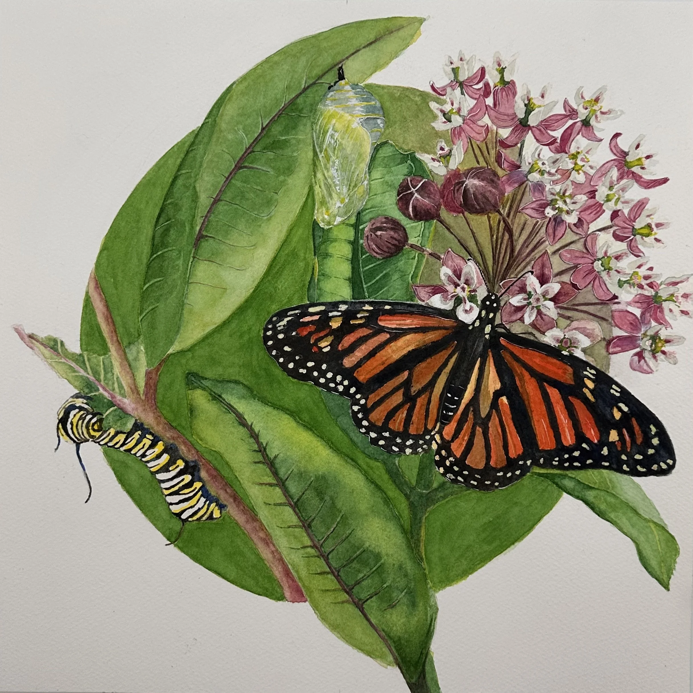 <p><strong>CHRISTINA YEE</strong>colored pencil, watercolor<a href="/christina-yee-jour-2026">More →</a></p>