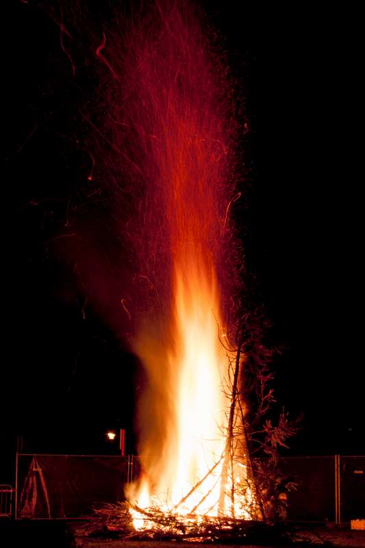 _MG_0651-2-800.jpg