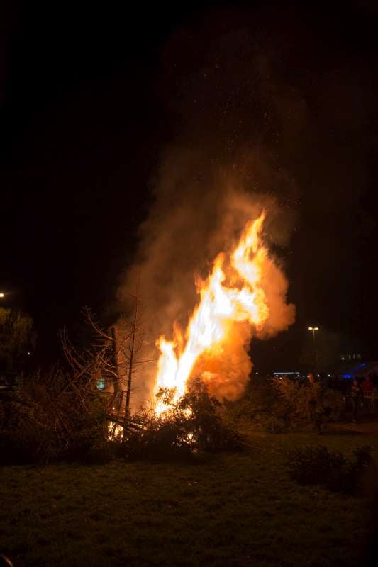 2016-01-09-kerstboomverbranding 2016-0005-800.jpg