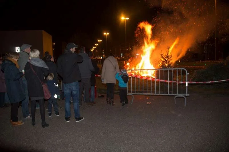 2016-01-09-kerstboomverbranding 2016-0024-800.jpg