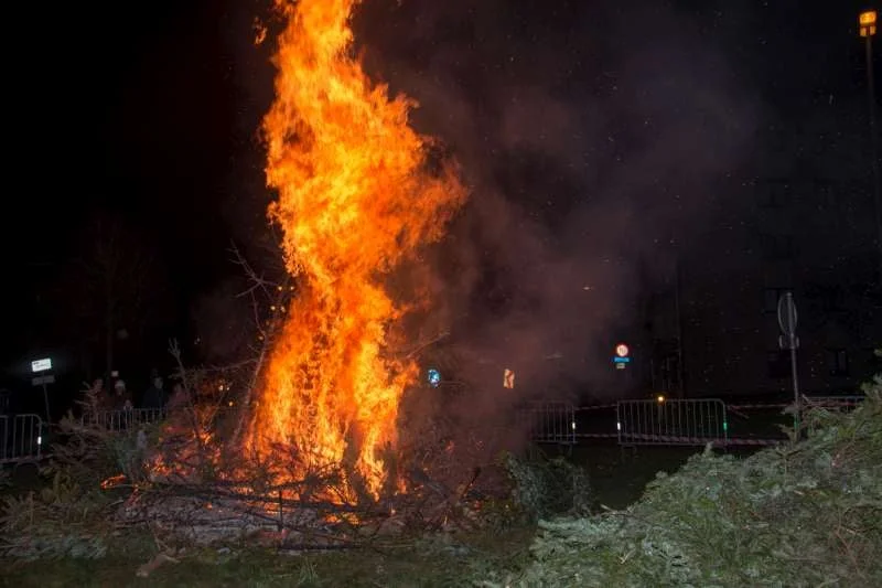 2016-01-09-kerstboomverbranding 2016-0032-800.jpg