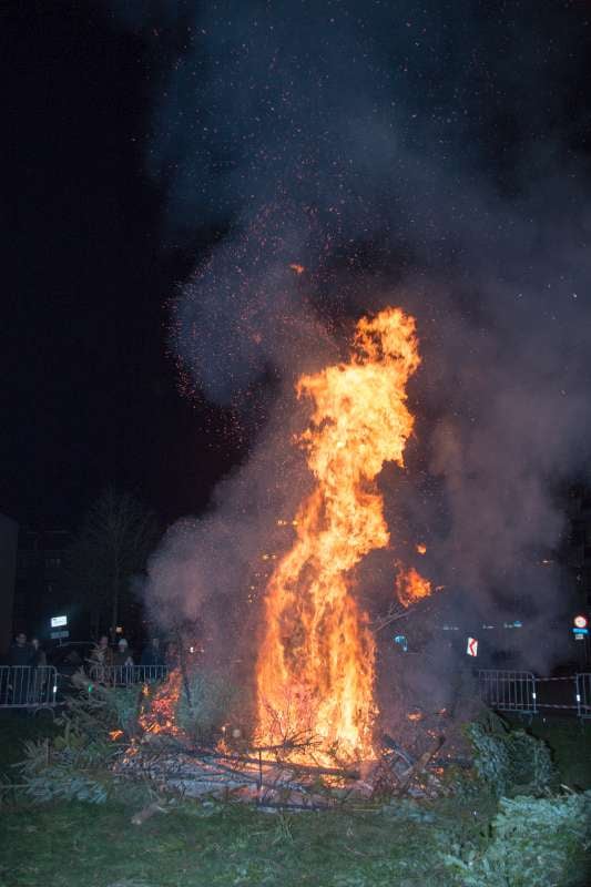 2016-01-09-kerstboomverbranding 2016-0034-800.jpg