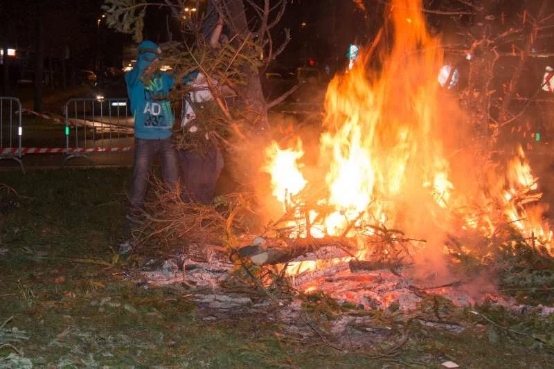 2016-01-09-kerstboomverbranding 2016-0188-800.jpg