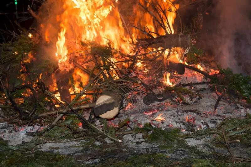 2016-01-09-kerstboomverbranding 2016-0191-800.jpg
