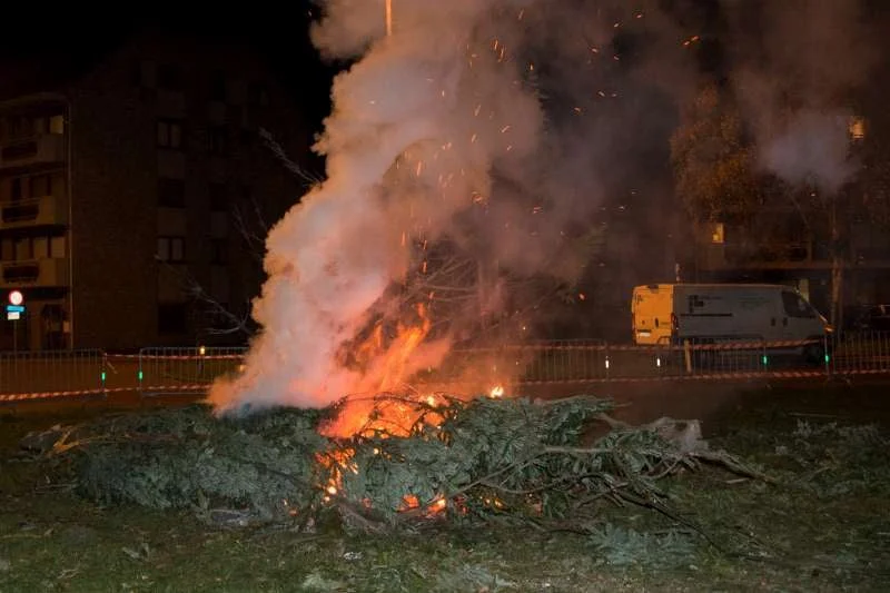 2016-01-09-kerstboomverbranding 2016-0196-800.jpg