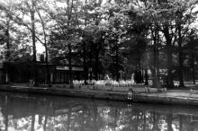 Sint-Michielsdomein_vijver_jaren1950_Kiewit_0421.jpg