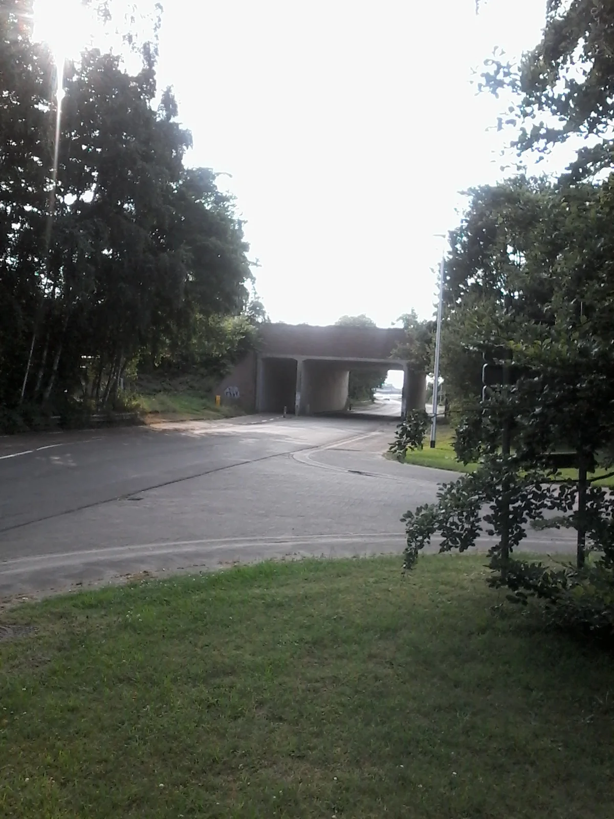 20160715_190723.jpg