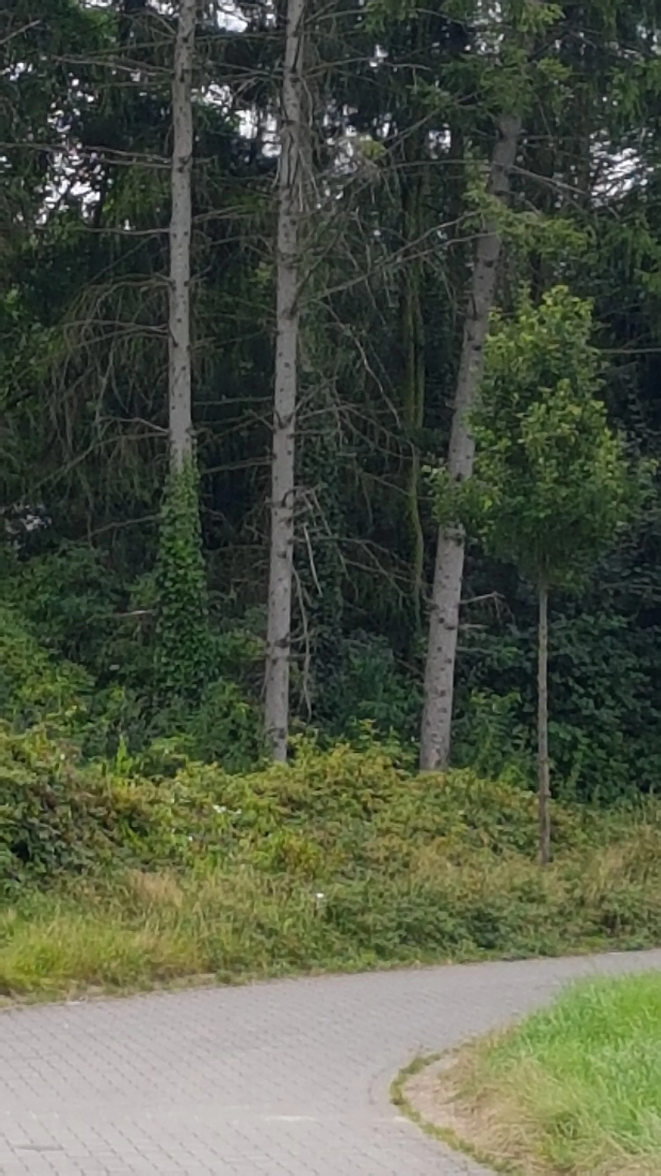 20160819_183406.jpg
