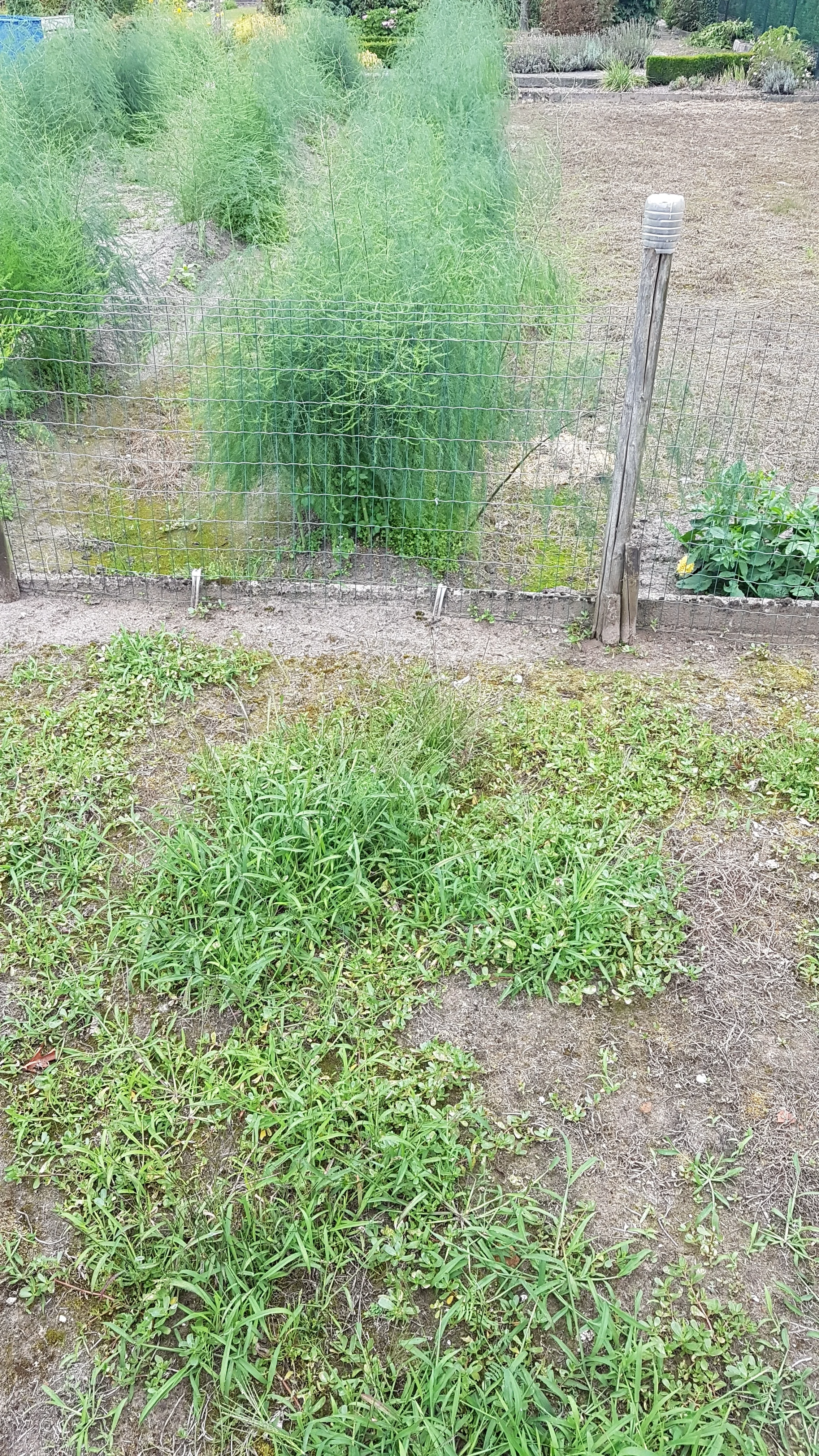 20160819_183245.jpg