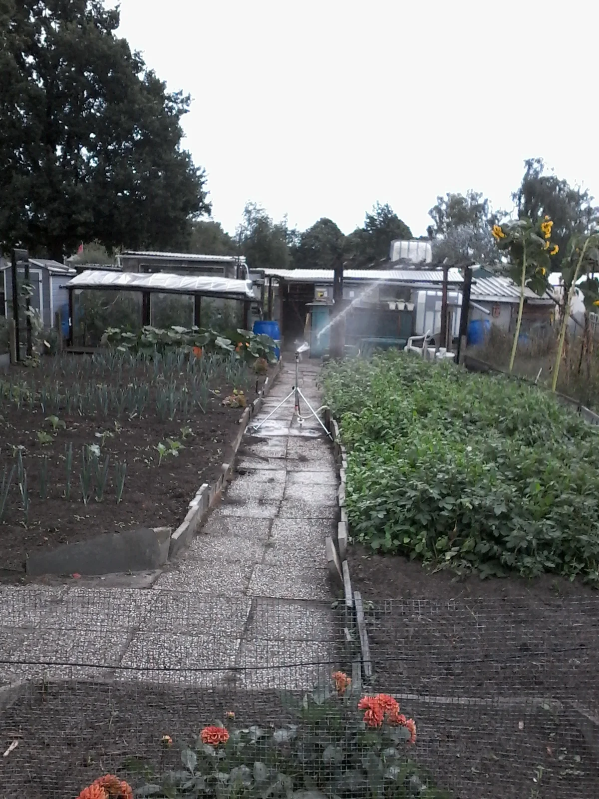 Tuin vital.jpg