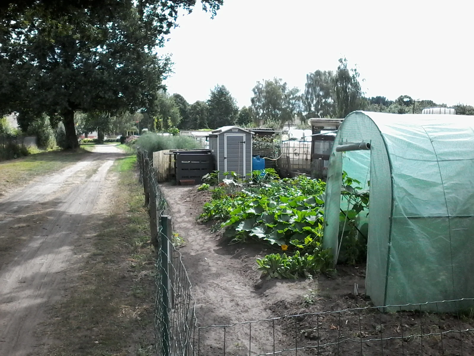 Tuin 98.jpg