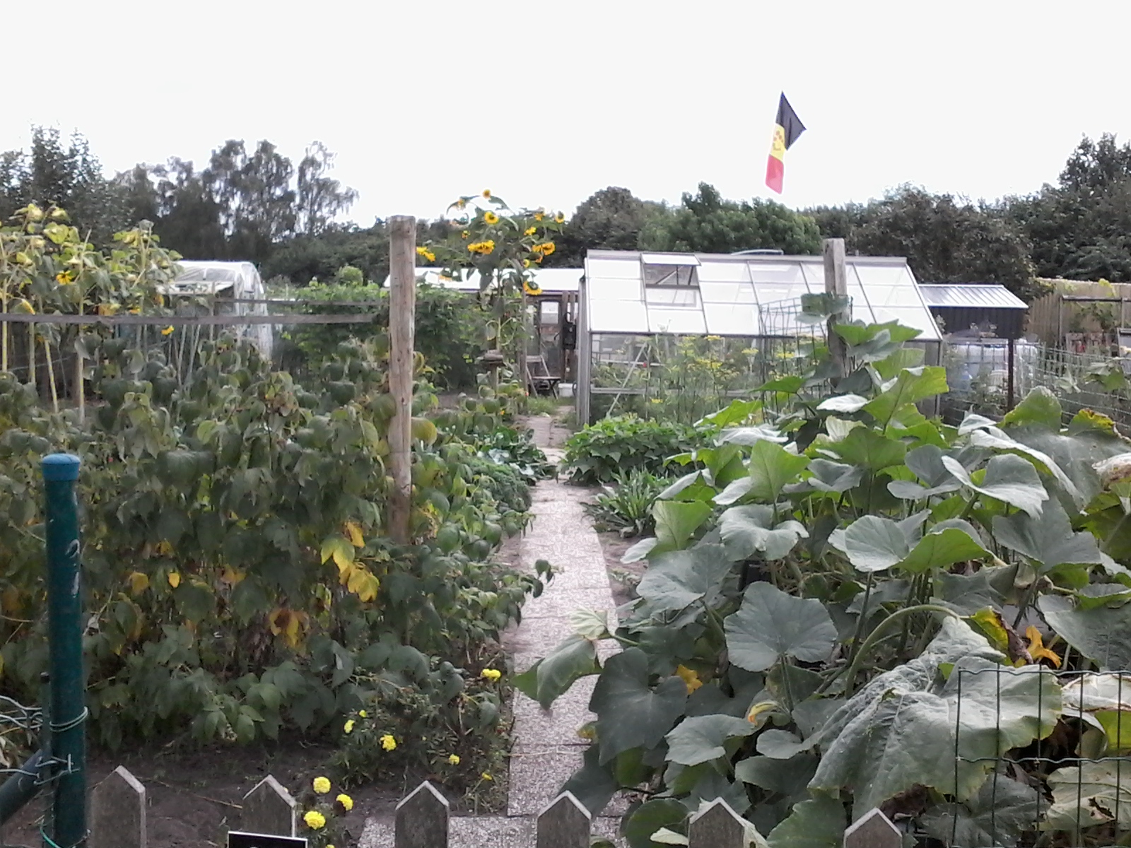 Tuin 90.jpg