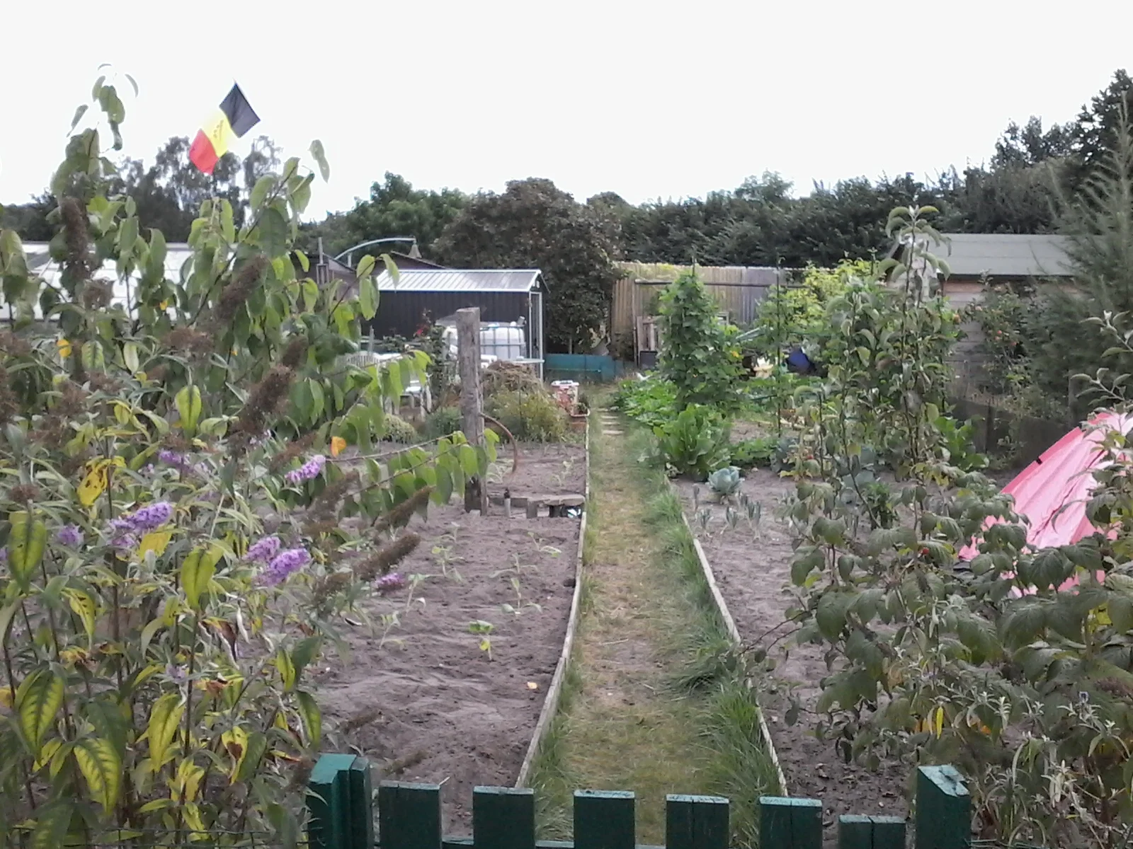 Tuin 89.jpg