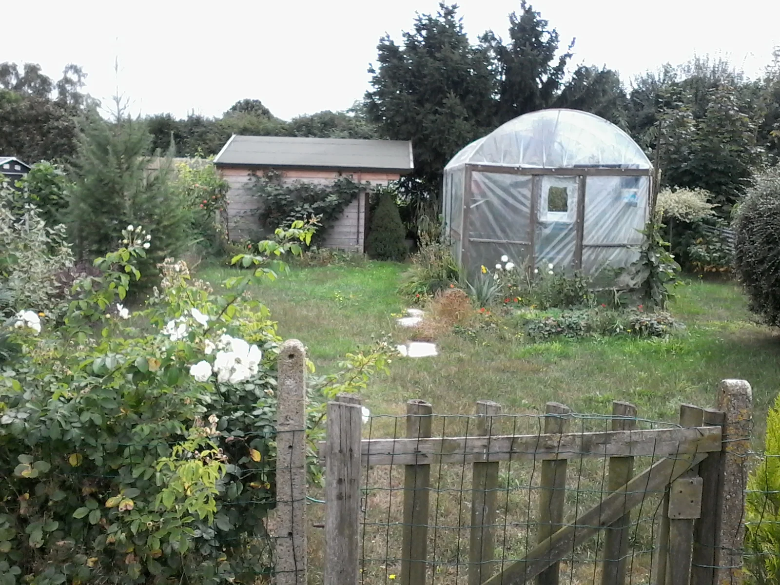 Tuin 88.jpg