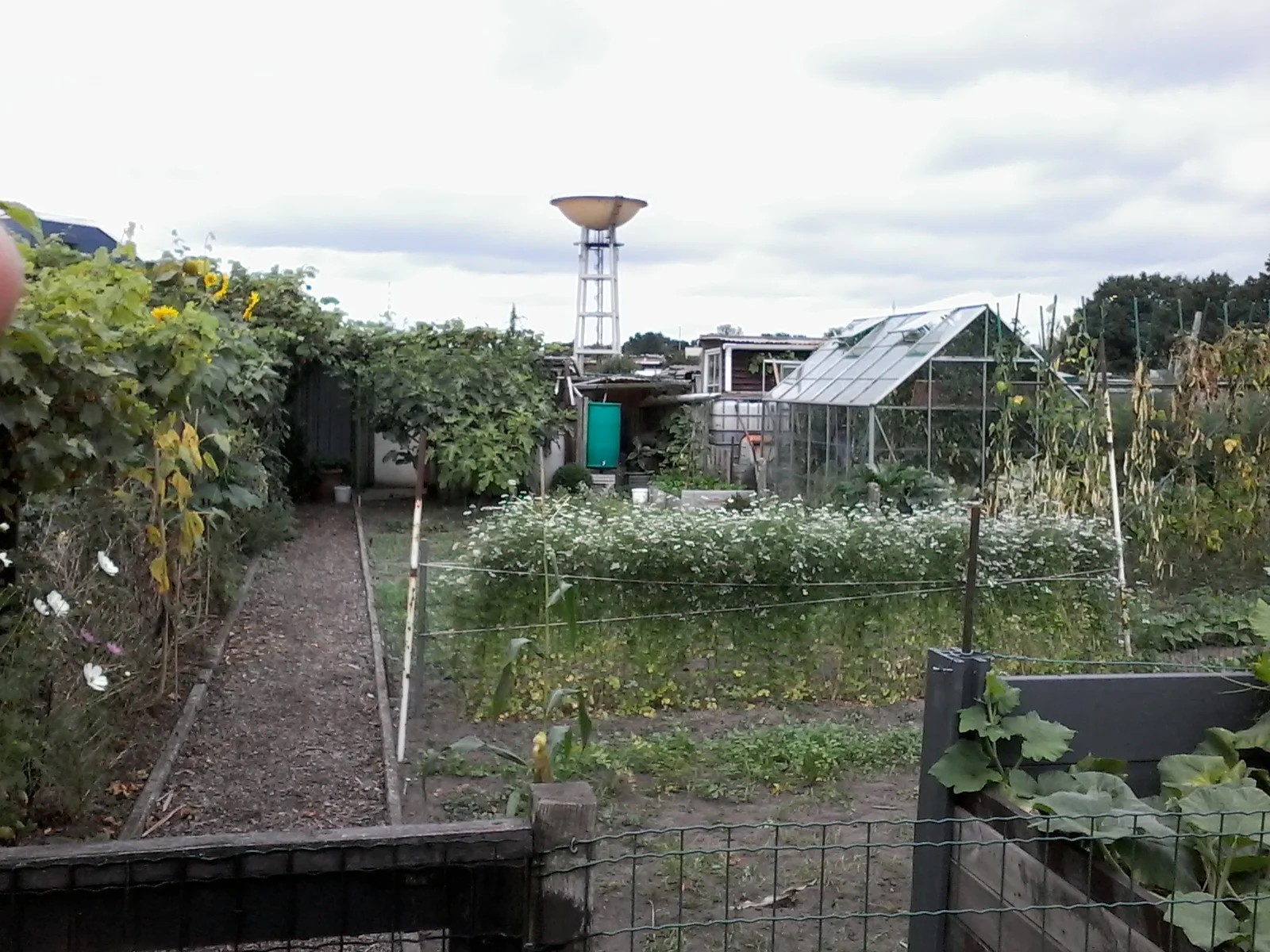Tuin 85.jpg