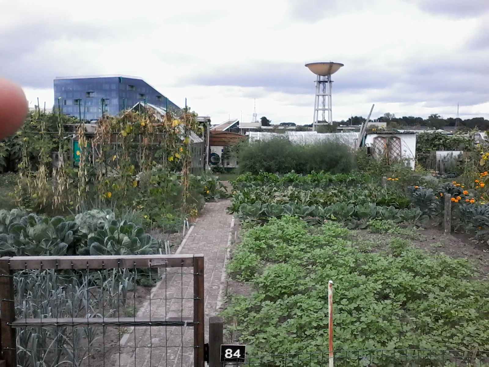 Tuin 84.jpg