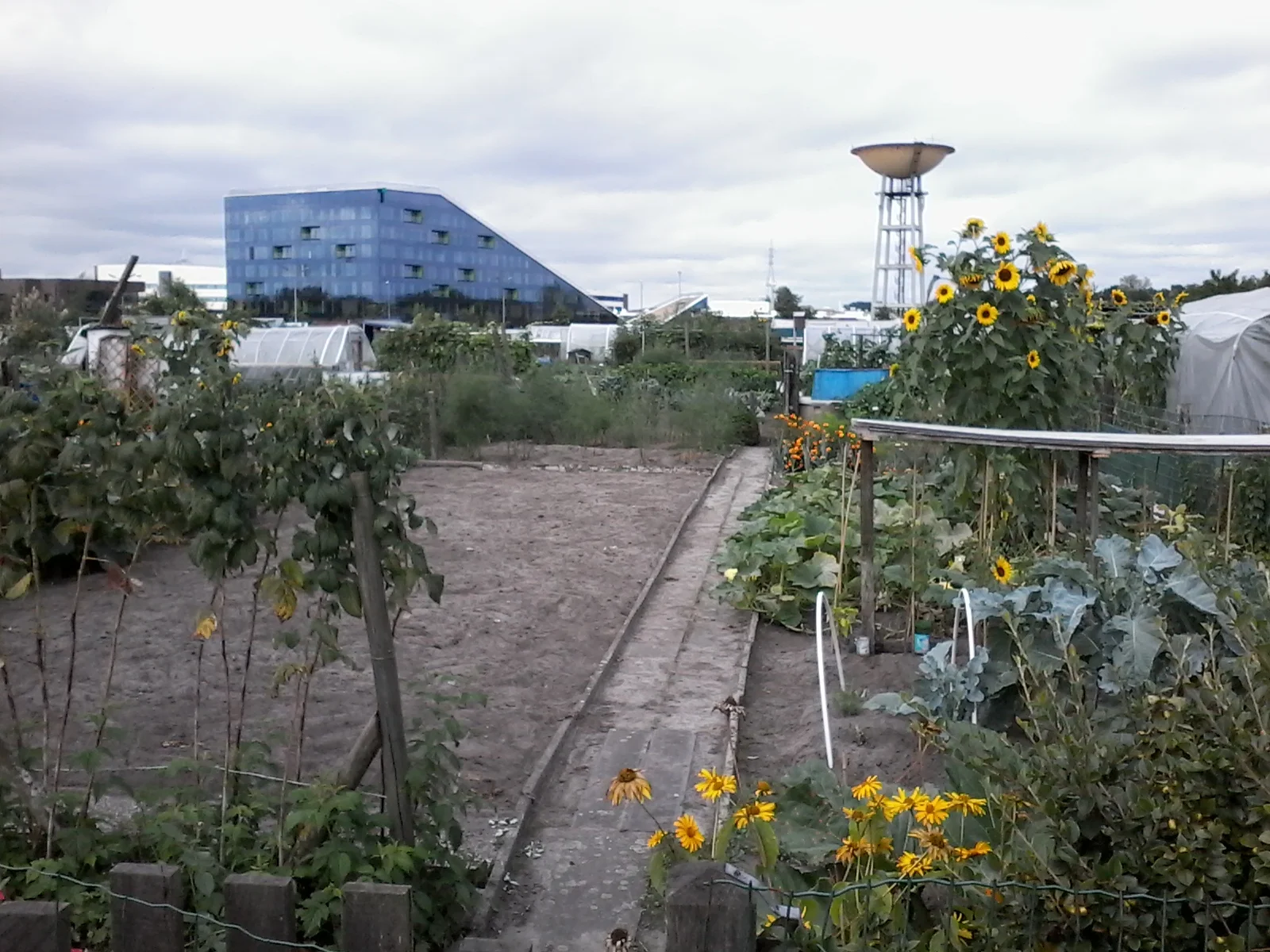 Tuin 82.jpg