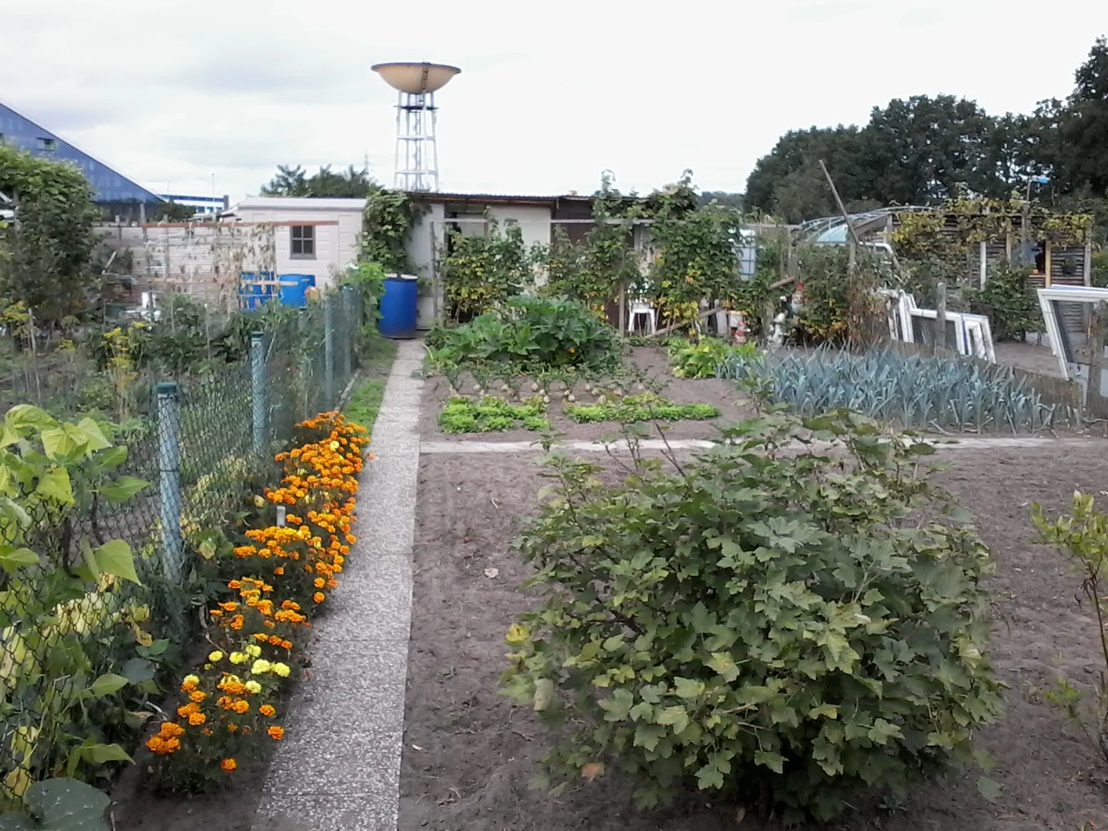 Tuin 79.jpg