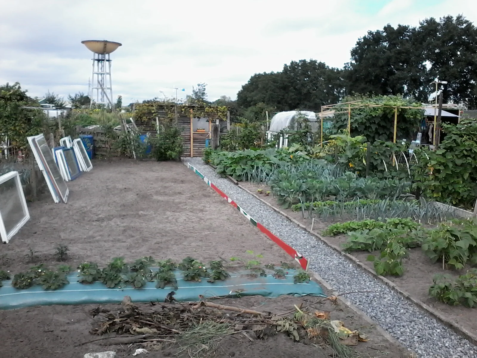 Tuin 78.jpg