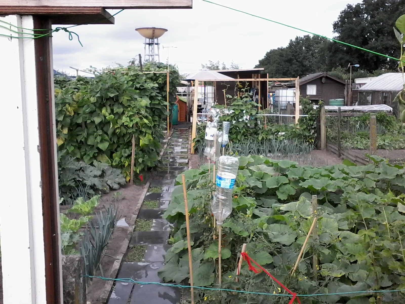 Tuin 77.jpg