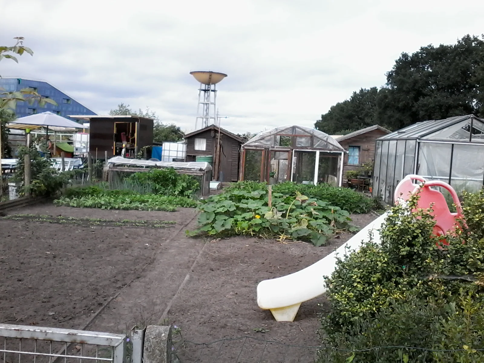 Tuin 75.jpg