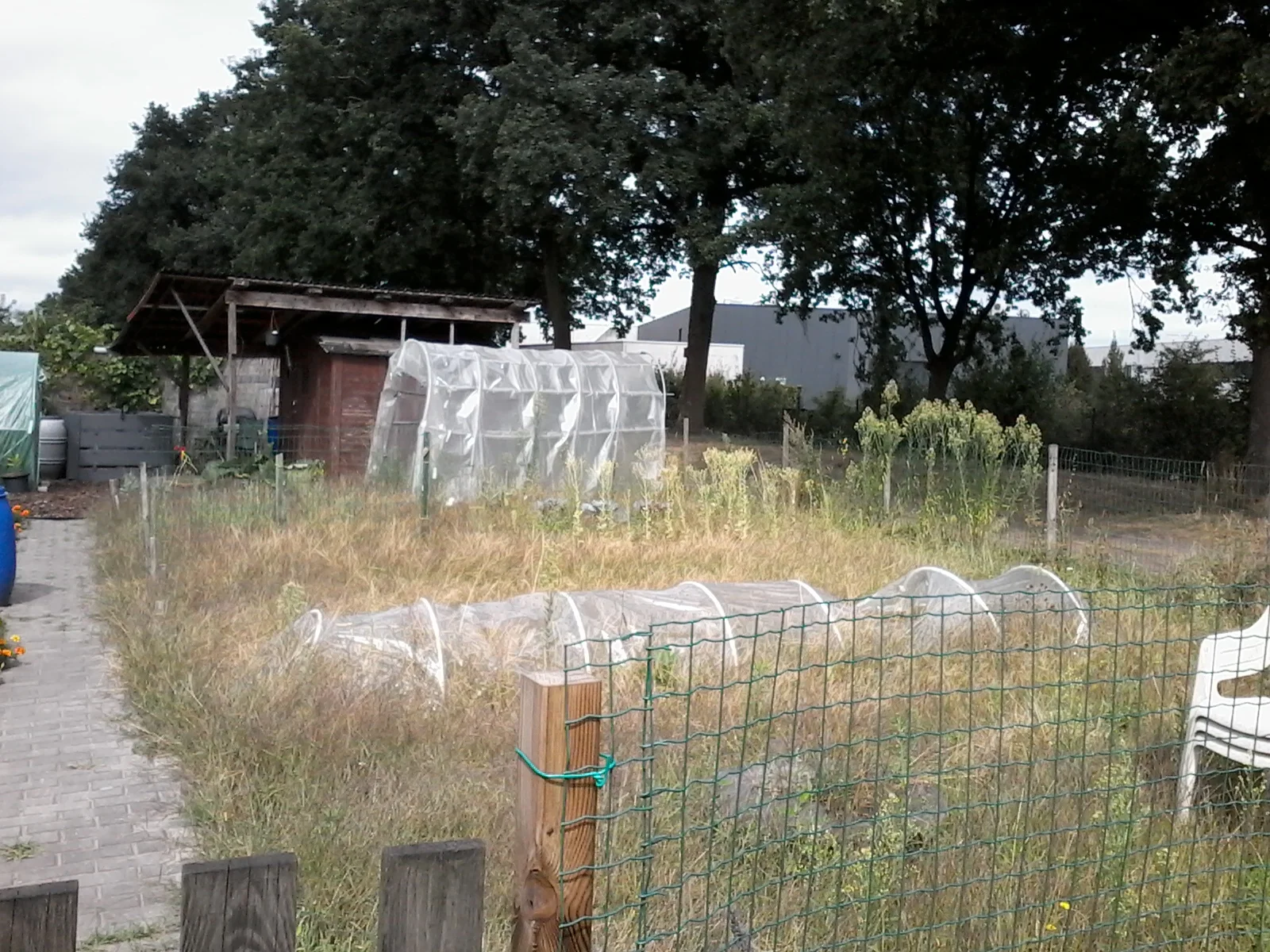 Tuin 72.jpg