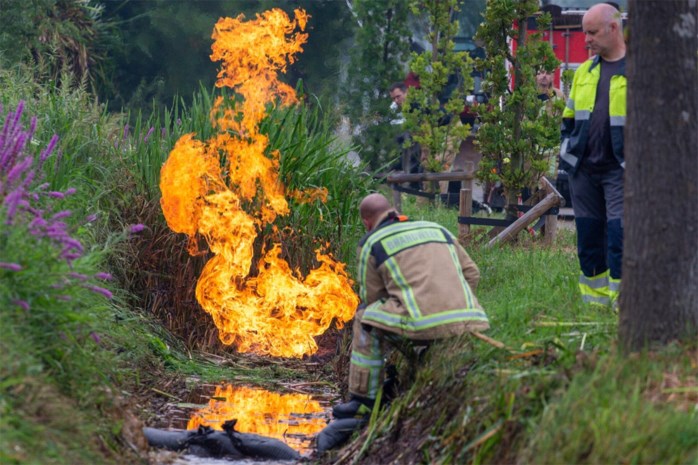 gas .jpg