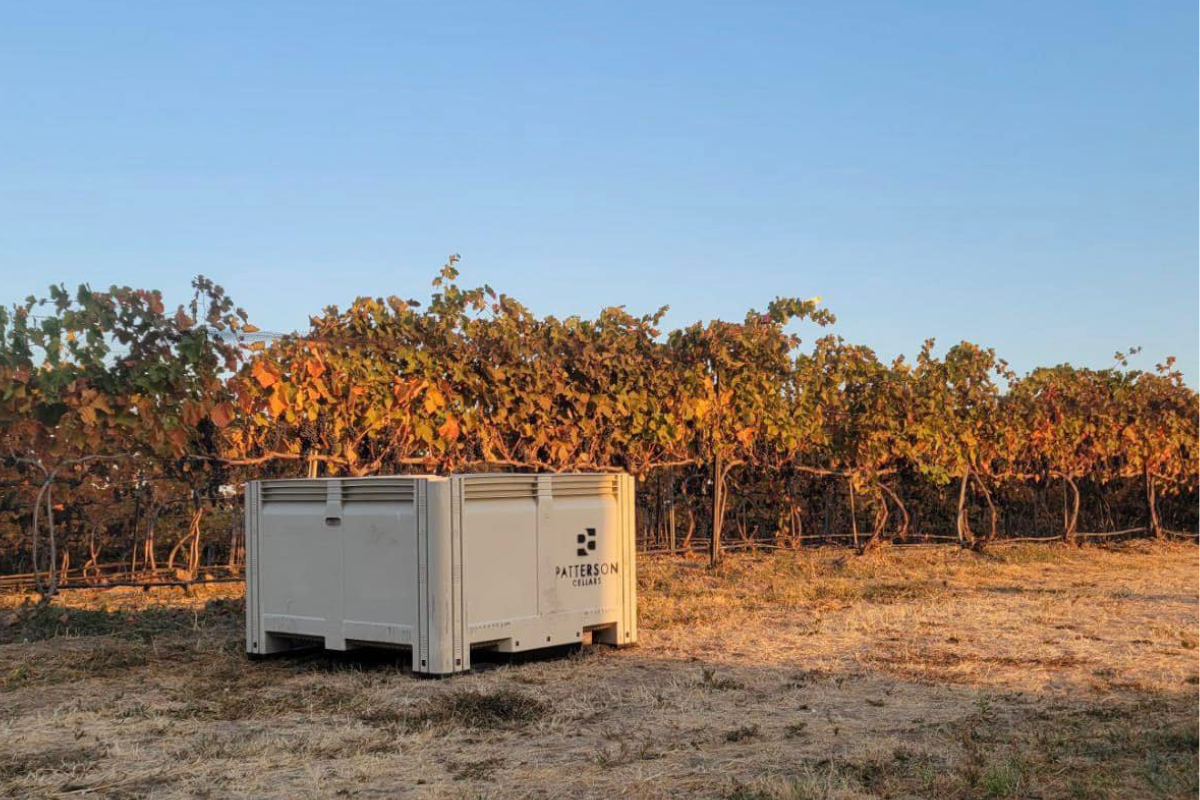 Walla Walla Harvest Weekend Experience 