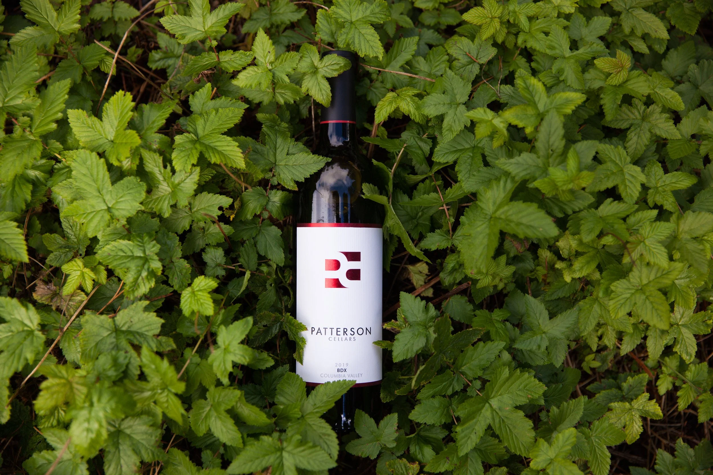 Member Preview Day: 2021 BDX