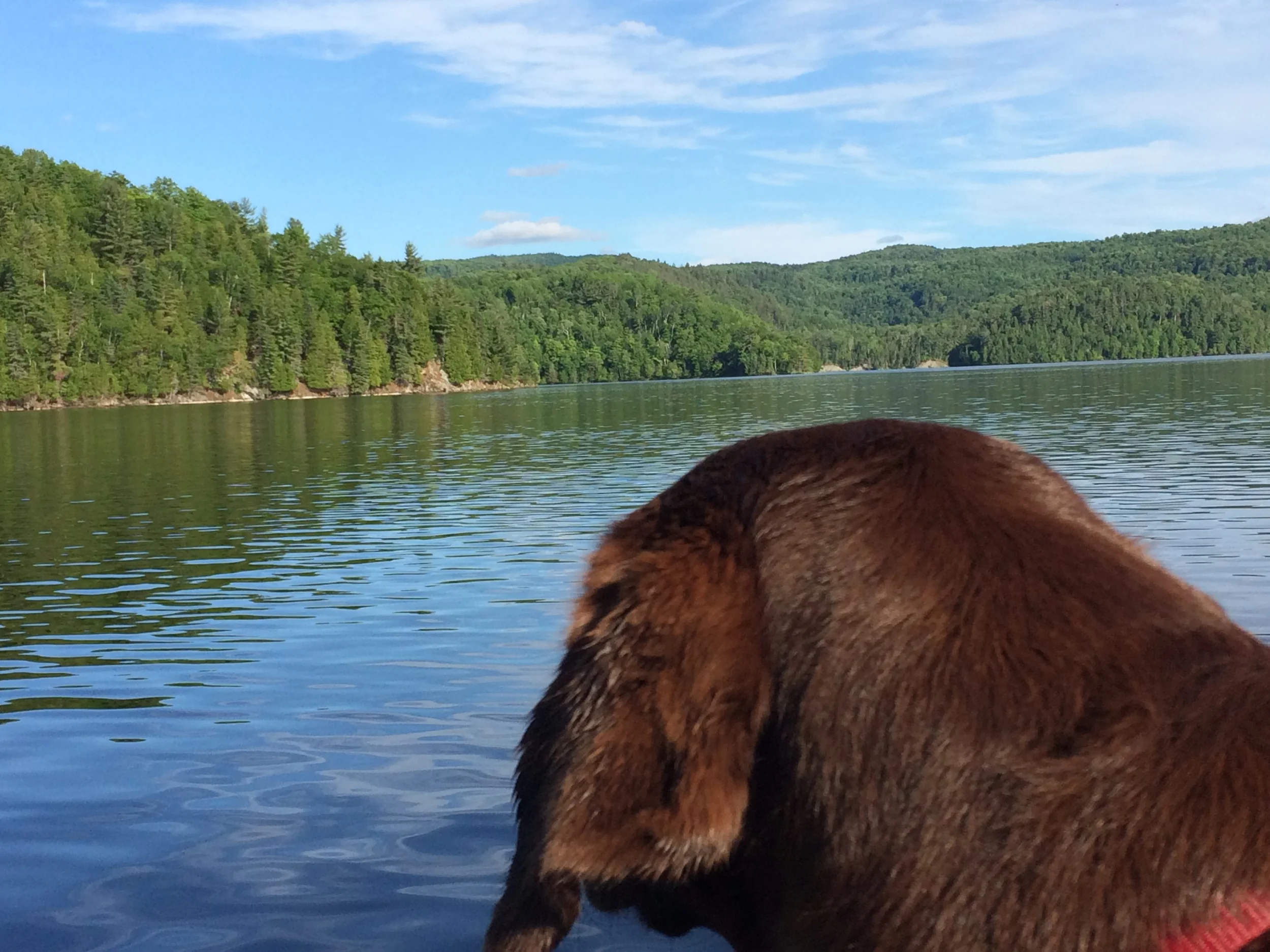 On the beautiful Gatineau River: Lucy's first boat ride