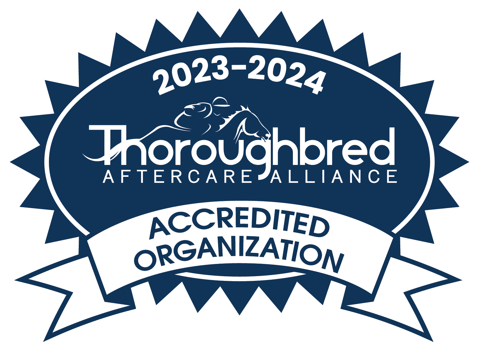 TAA-Accredited-Organization Seal-2023-2024-Blue-CMYK.png