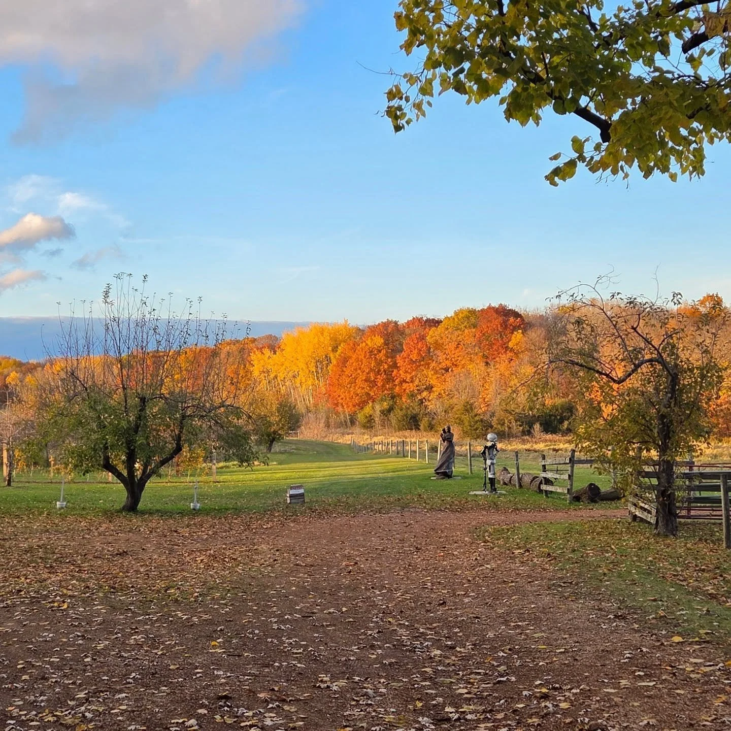 A beautiful day at @parleylakewinery ! 

Two more shows this year for us: 11/7 at @heavyrotationbrewing and 12/12 at @inboundbrewco !