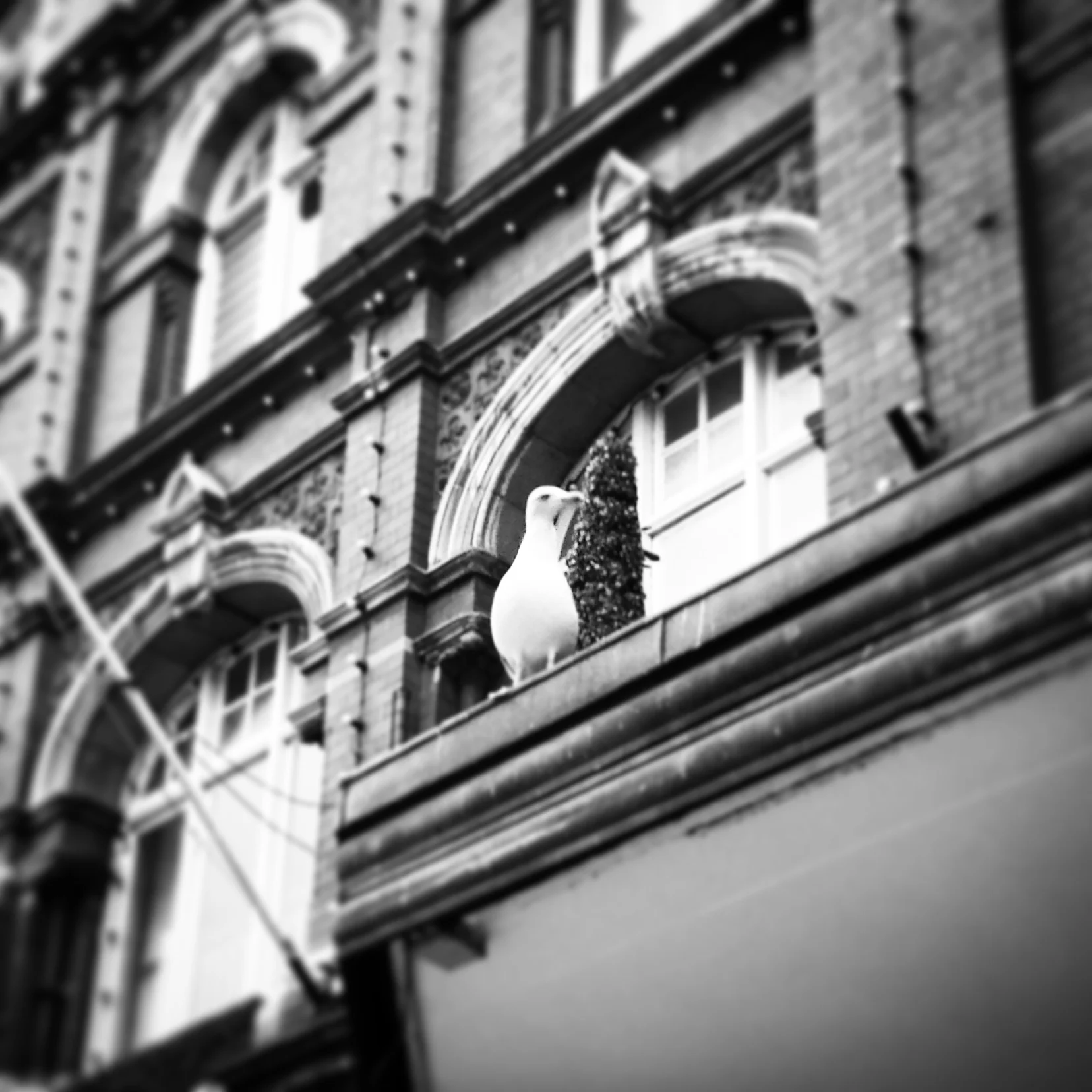 IMG_20150902_082941.jpg