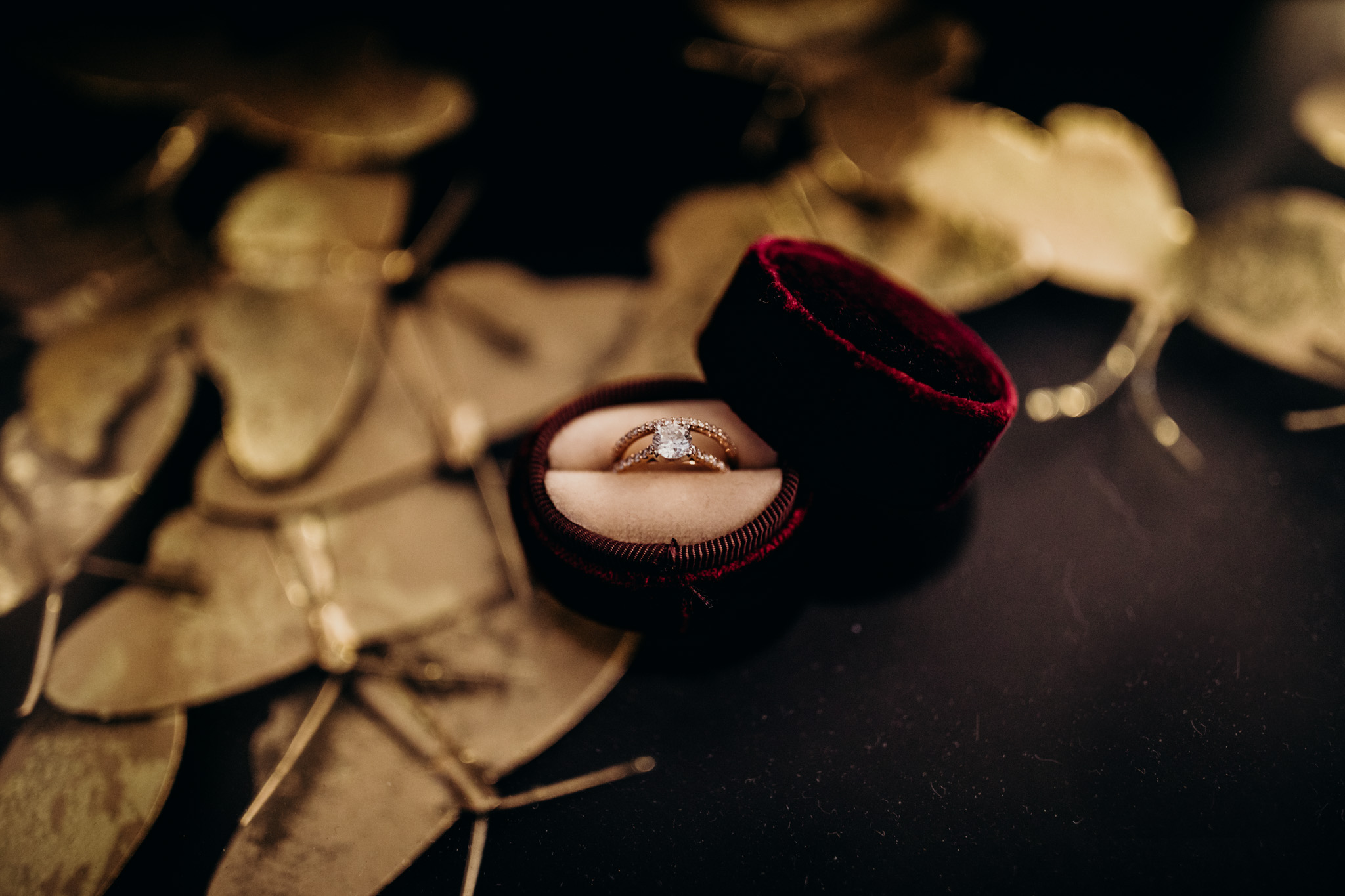 New Orleans Wedding Photographer