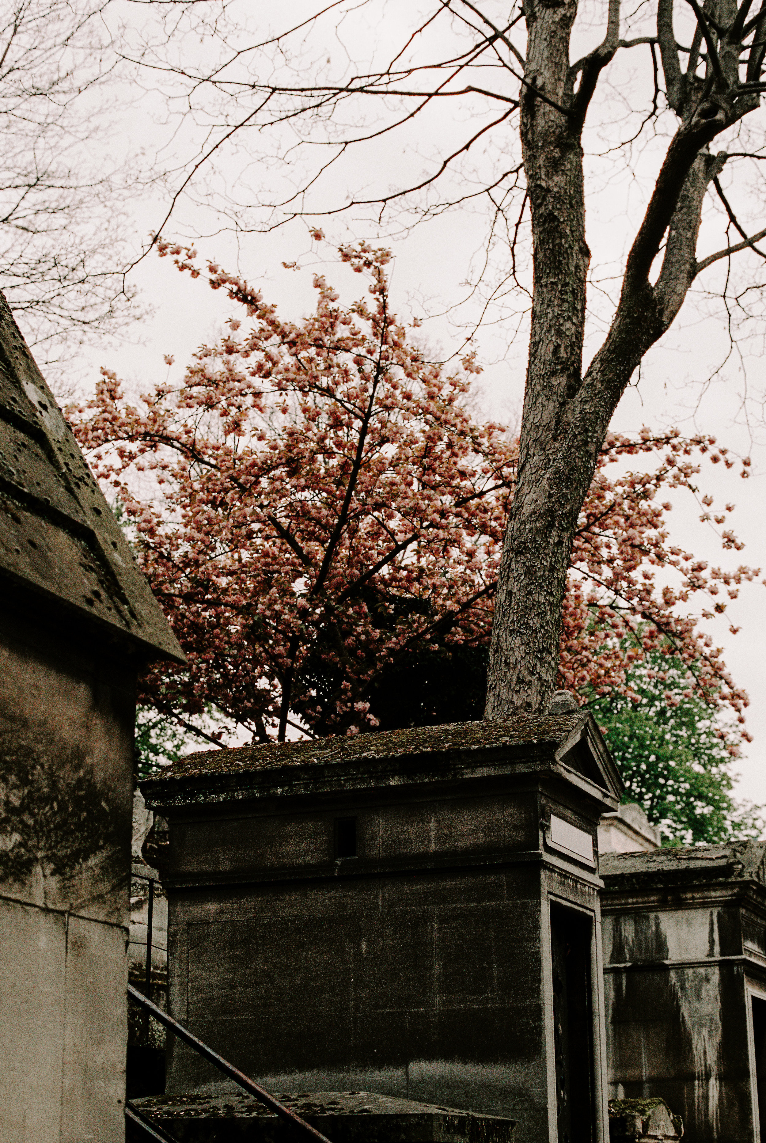 Montmartre Cemetery is a gorgeous respite from the hectic Parisian streets. We absolutely loved wandering the terraced crypts and finding the famous artists and poets buried there.